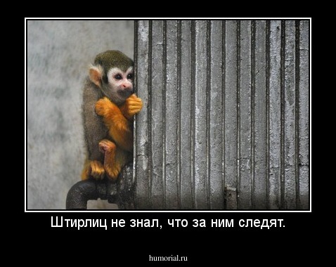 Штирлиц не знал, что за ним следят.
