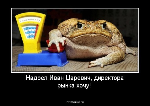 Надоел Иван Царевич, директора рынка хочу!