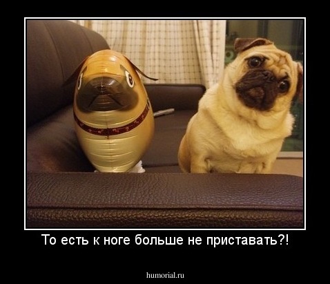 То есть к ноге больше не приставать?!