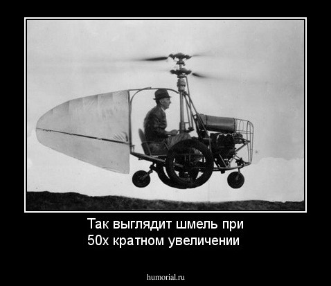 Так выглядит шмель при 50х кратном увеличении