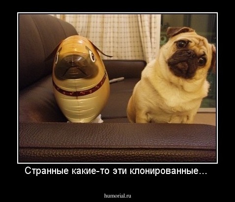 Странные какие-то эти клонированные...