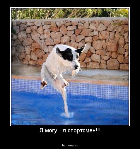 Я могу - я спортсмен!!!