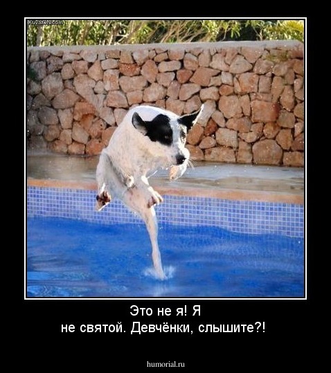 Это не я! Я не святой. Девчёнки, слышите?!