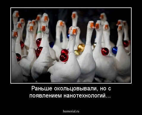 Раньше окольцовывали, но с появлением нанотехнологий...