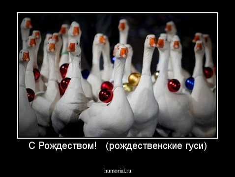 С Рождеством!   (рождественские гуси)