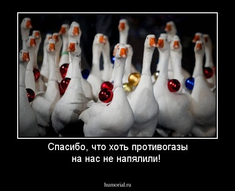 Спасибо, что хоть противогазы на нас не напялили!