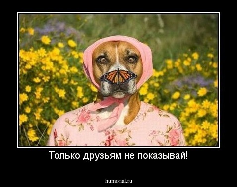Только друзьям не показывай!