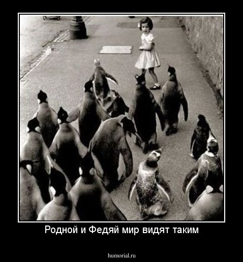 Родной и Федяй мир видят таким