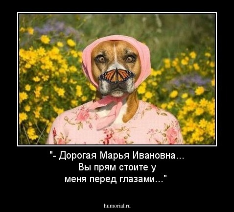 "- Дорогая Марья Ивановна... Вы прям стоите у меня перед глазами..."