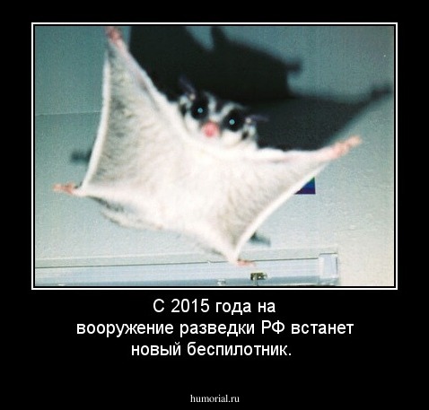 С 2015 года на вооружение разведки РФ встанет новый беспилотник.