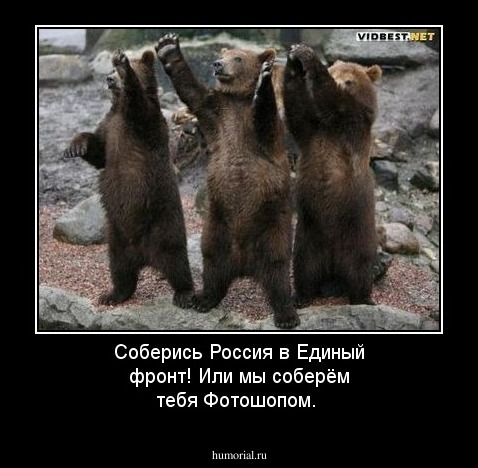 Соберись Россия в Единый фронт!
Или мы соберём тебя Фотошопом.