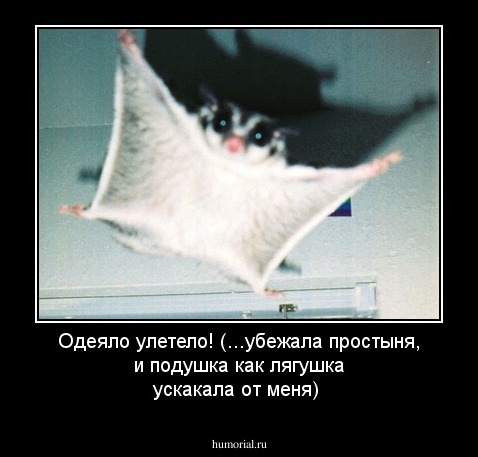 Одеяло улетело! (...убежала простыня, и подушка как лягушка ускакала от меня)