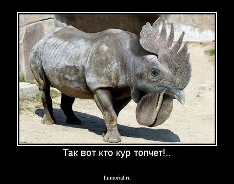 Так вот кто кур топчет!..