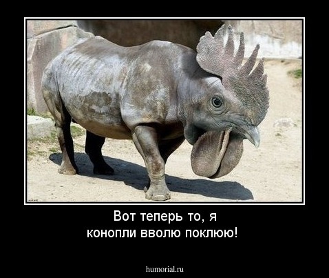 Вот теперь то, я конопли вволю поклюю!