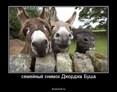 семейный снимок Джорджа Буша