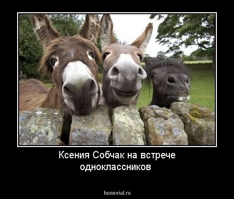 Ксения Собчак на встрече одноклассников