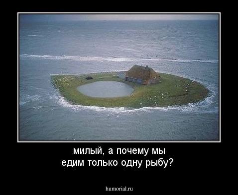 милый, а почему мы едим только одну рыбу?