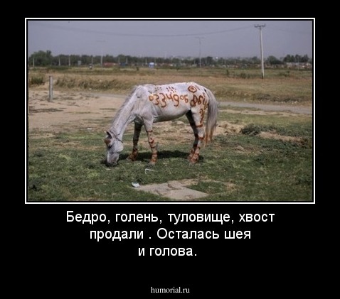 Бедро, голень, туловище, хвост продали . Осталась шея и голова.