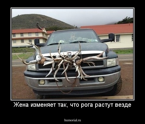 Жена изменяет так, что рога растут везде