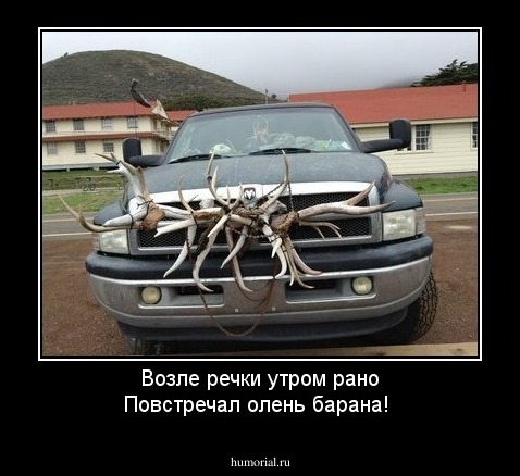 Возле речки утром рано
Повстречал олень барана!