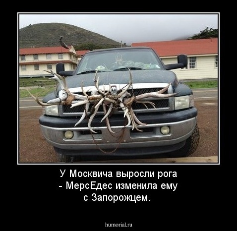 У Москвича выросли рога - МерсЕдес изменила ему с Запорожцем.