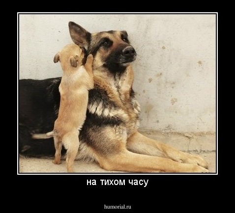 на тихом часу