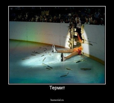 Термит
