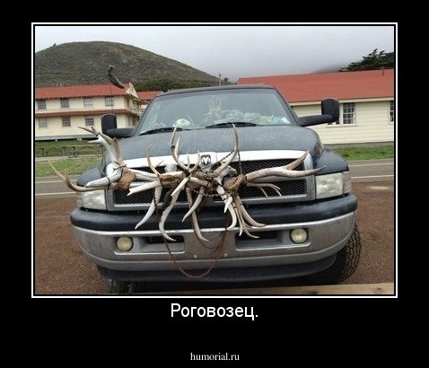 Роговозец.