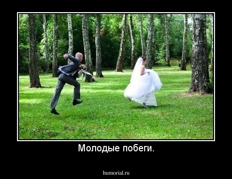 Молодые побеги.