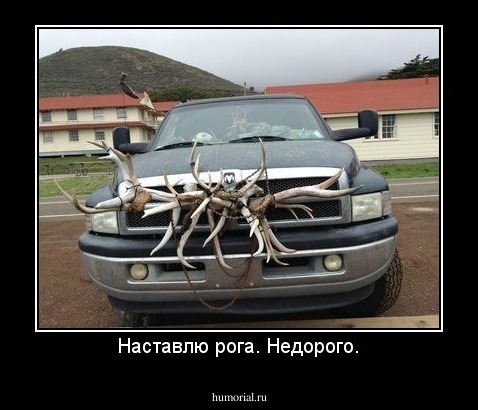 Наставлю рога. Недорого.