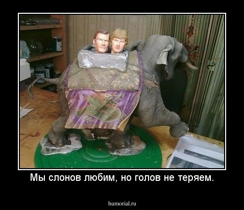 Мы слонов любим, но голов не теряем.