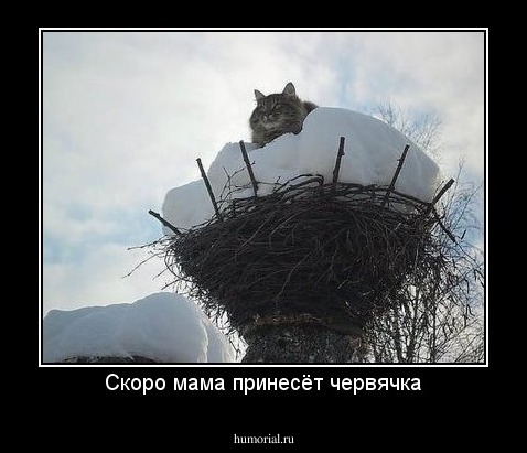 Скоро мама принесёт червячка