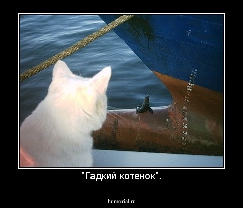 "Гадкий котенок".