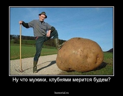 Ну что мужики, клубнями мерится будем?