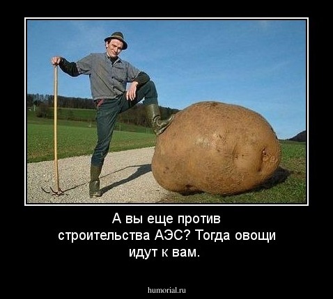 А вы еще против строительства АЭС? Тогда овощи идут к вам.