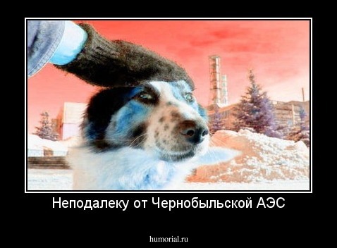 Неподалеку от Чернобыльской АЭС