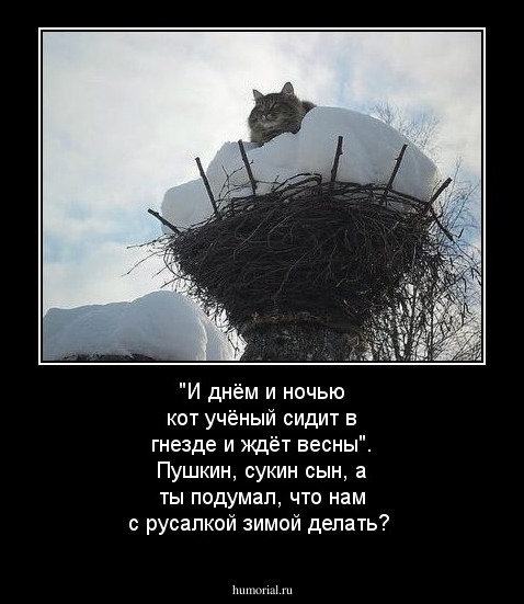 "И днём и ночью кот учёный сидит в гнезде  и ждёт весны". Пушкин, сукин сын, а ты подумал, что нам с русалкой зимой делать?