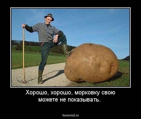 Хорошо, хорошо, морковку свою можете не показывать.