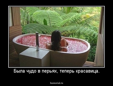 Была чудо в перьях, теперь красавица.