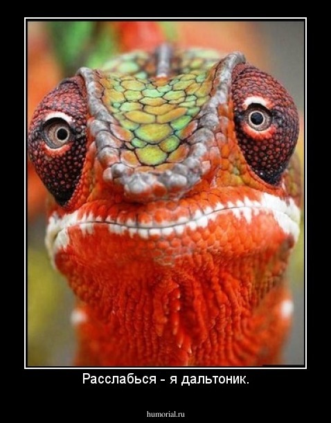 Расслабься - я дальтоник.
