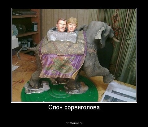  Слон сорвиголова.