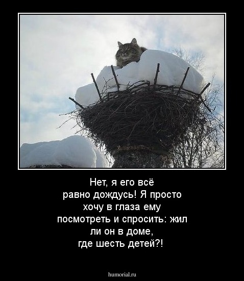 Нет, я его всё равно дождусь! Я просто хочу в глаза ему посмотреть и спросить: жил ли он в доме, где шесть детей?!