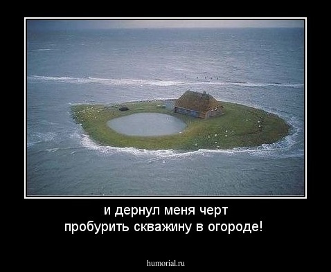 и дернул меня черт пробурить скважину в огороде! 