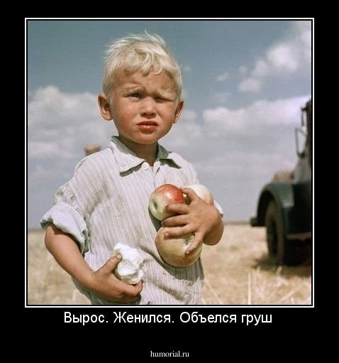 Вырос. Женился. Объелся груш 