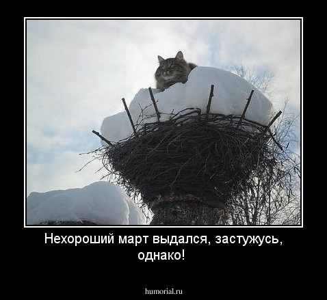 Нехороший март выдался, застужусь, однако!