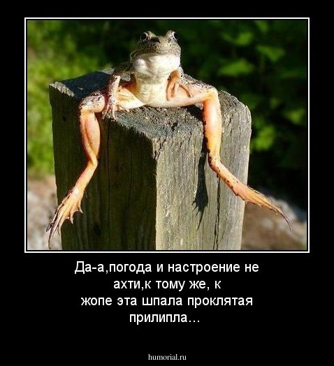 Да-а,погода и настроение не ахти,к тому же, к жопе эта шпала проклятая прилипла...