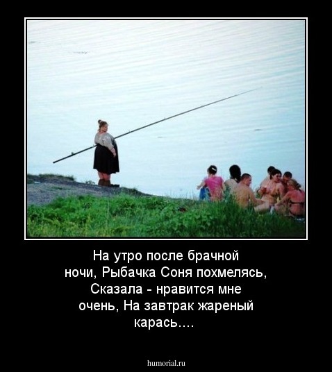 На утро после брачной ночи, Рыбачка Соня похмелясь, Сказала - нравится мне очень,
На завтрак жареный карась....