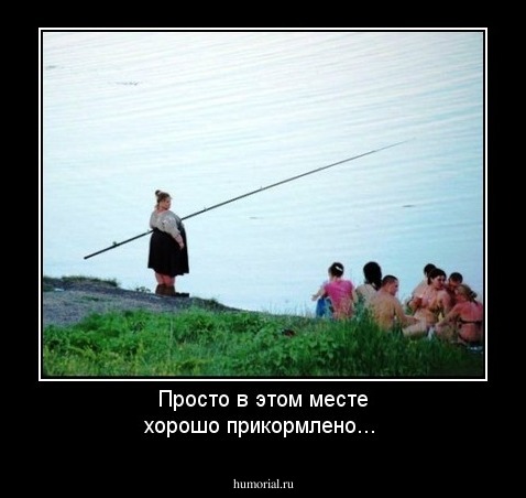 Просто в этом месте хорошо прикормлено...
