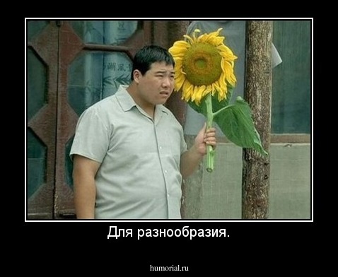 Для разнообразия.