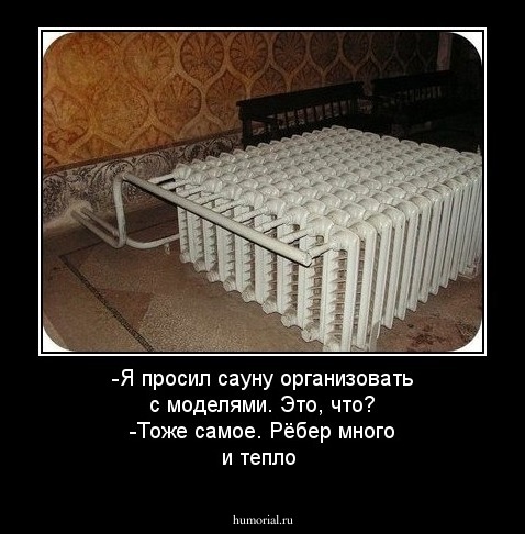 -Я просил сауну организовать с моделями. Это, что?
-Тоже самое.  Рёбер много и тепло
